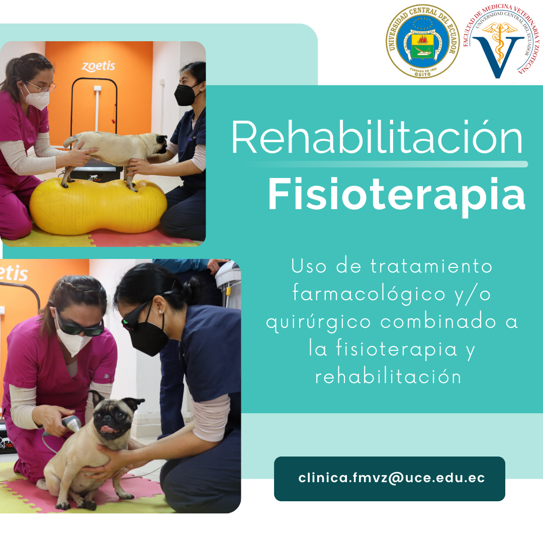 Rehabilitacion