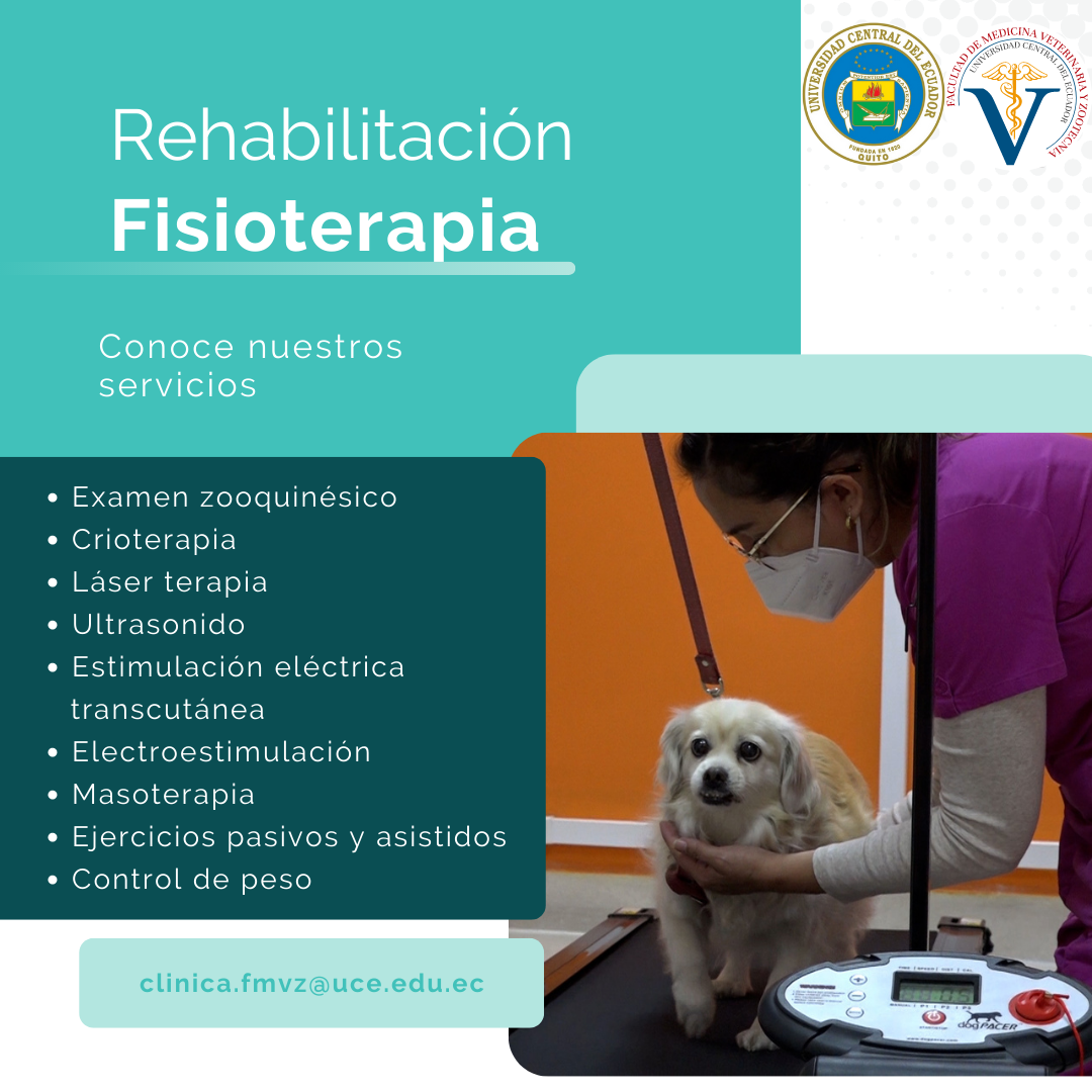 Rehabilitacion